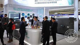 中展网 北京网络技术服务领域的领航者